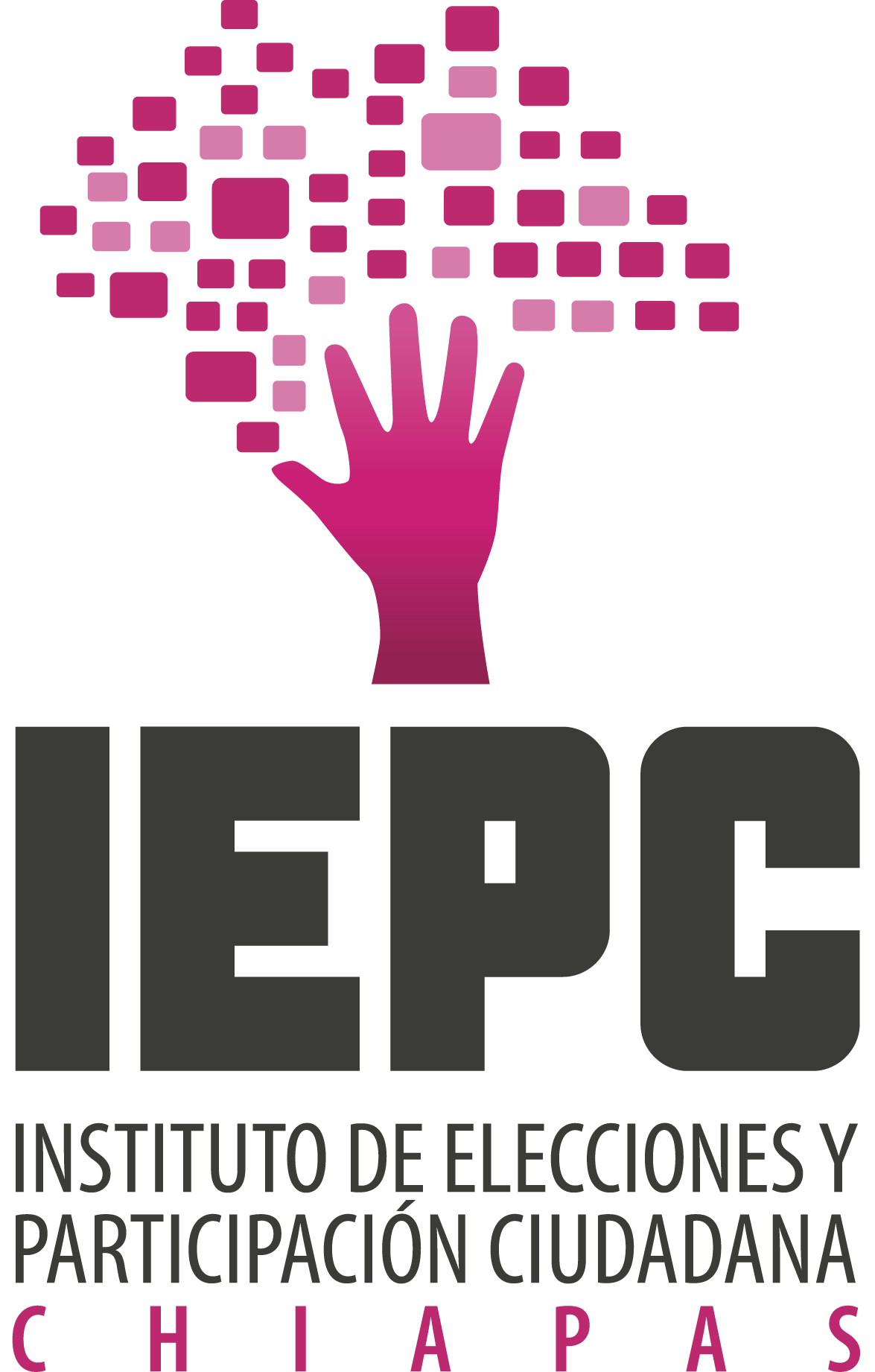 IEPC Logo